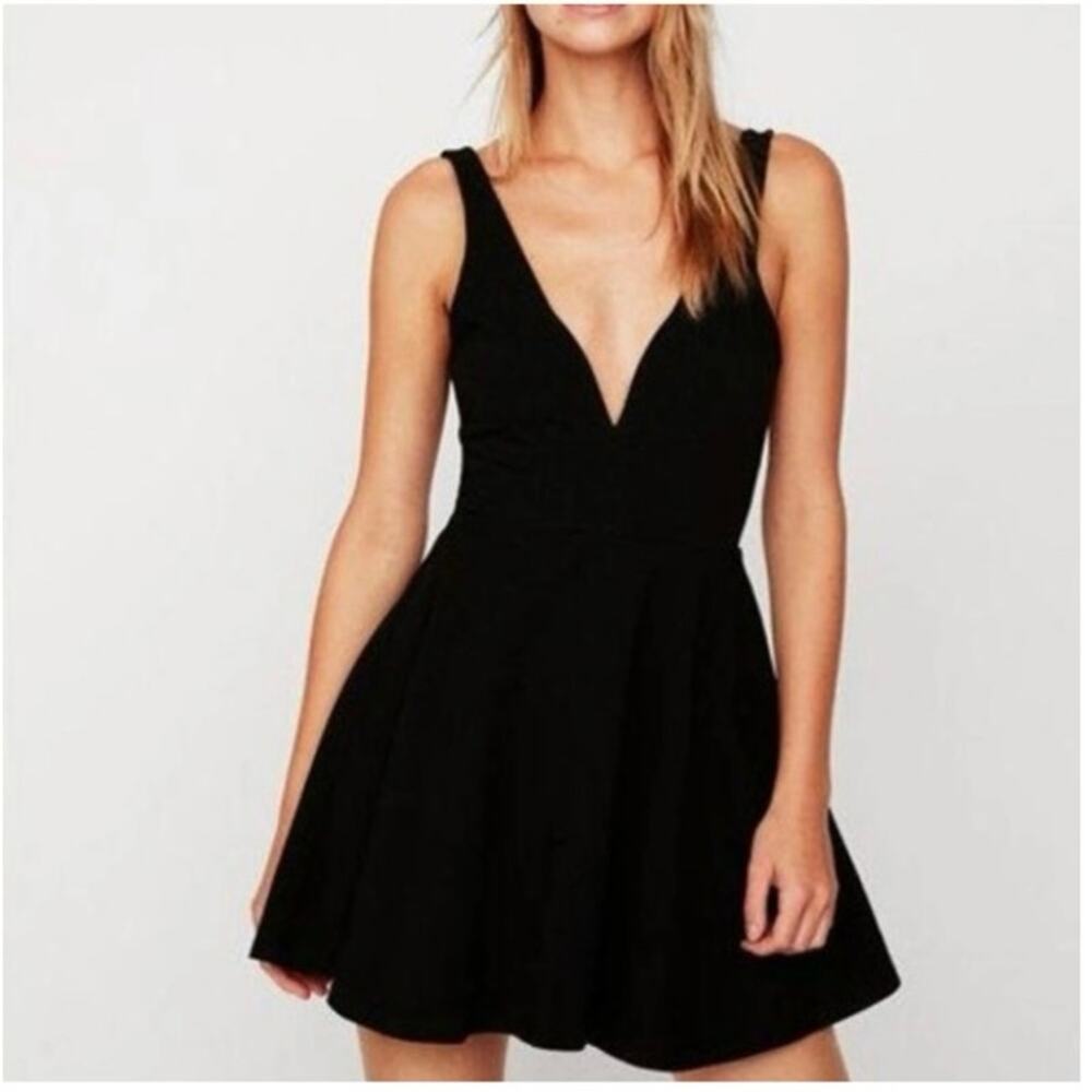 Express skater dress